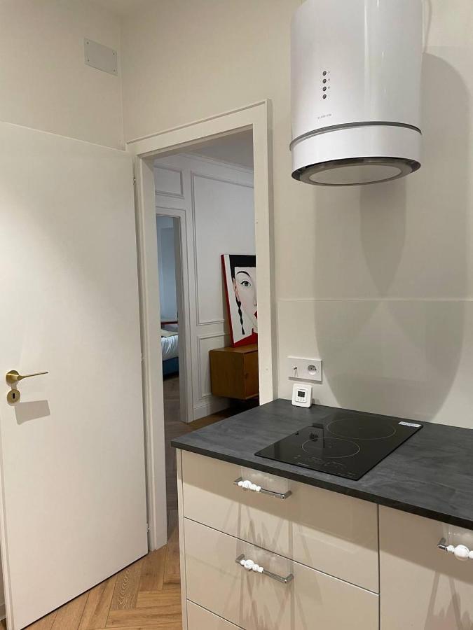 Appartement Luxueux Hyper Centre De Strasbourg Bagian luar foto